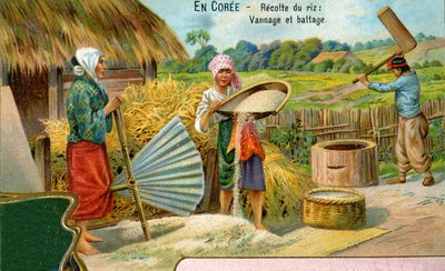 The rice harvest in Korea, winnowing and threshing, 1904 by European School